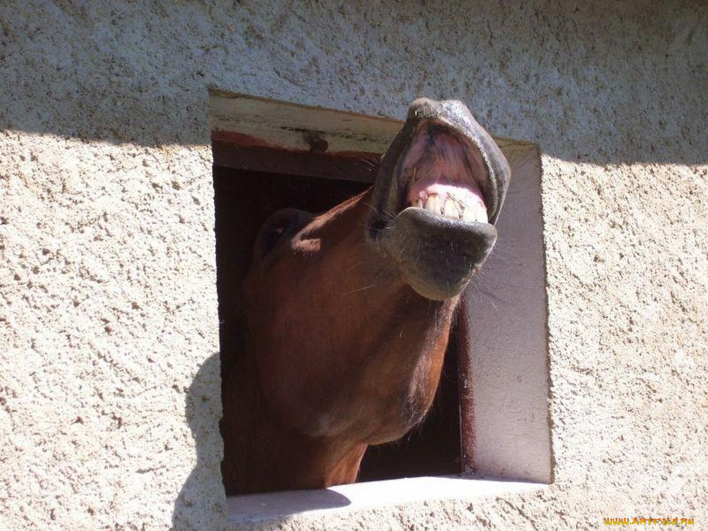 , 